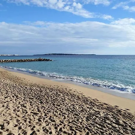 Le Bleuette - Festivals 10min - Face Plages ! *