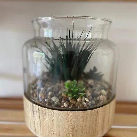 Appartement Le Bleuette - Festivals 10min - Face Plages !