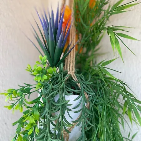 Le Bleuette - Festivals 10min - Face Plages ! Appartement *