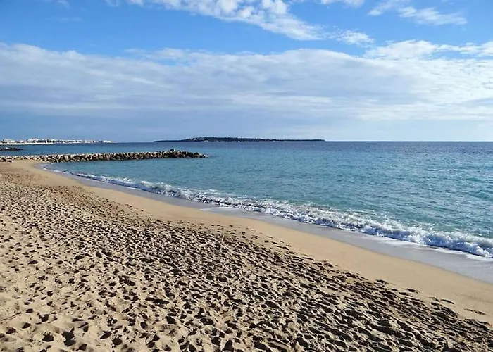 Le Bleuette - Festivals 10min - Face Plages ! *